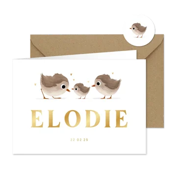 Geboortekaartje derde broertje of zusje met vogeltjes